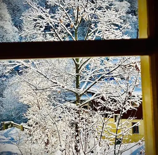 Apartment Luxury & Cosy 3.5 In Almost 300 Years Old