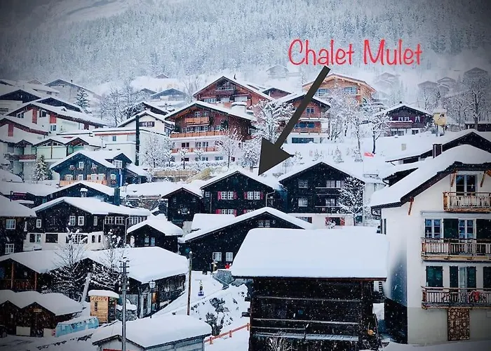 Luxury & Cosy 3.5 In Almost 300 Years Old Leukerbad