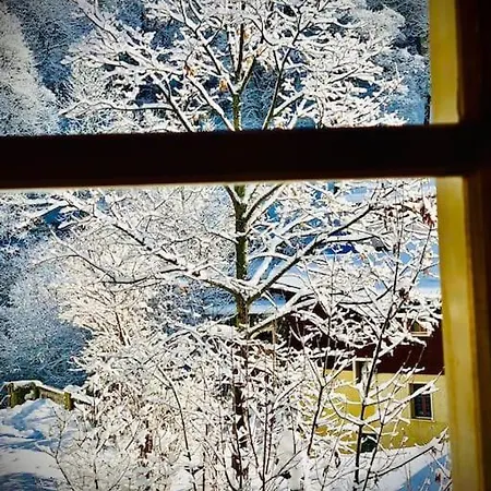 Apartamento Luxury & Cosy 3.5 In Almost 300 Years Old