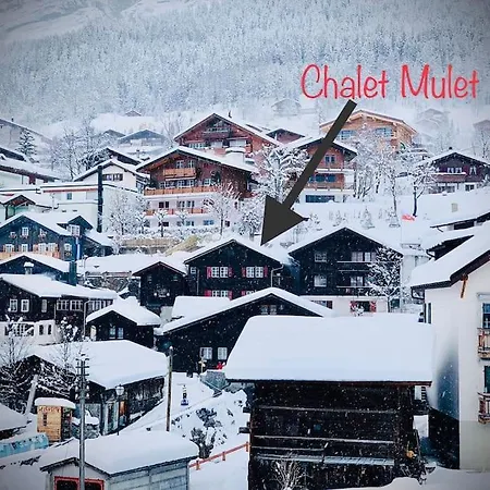 Luxury & Cosy 3.5 In Almost 300 Years Old לויקרבאד